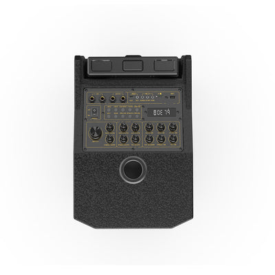 Portable Bluetooth speaker with control panel, instrument inputs, volume knobs, and display